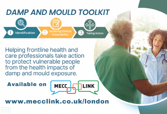 Hero damp and mould toolkit for frontline health and care professionals